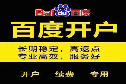 案例分享：百度SEM推广助力企业抢占行业制高点